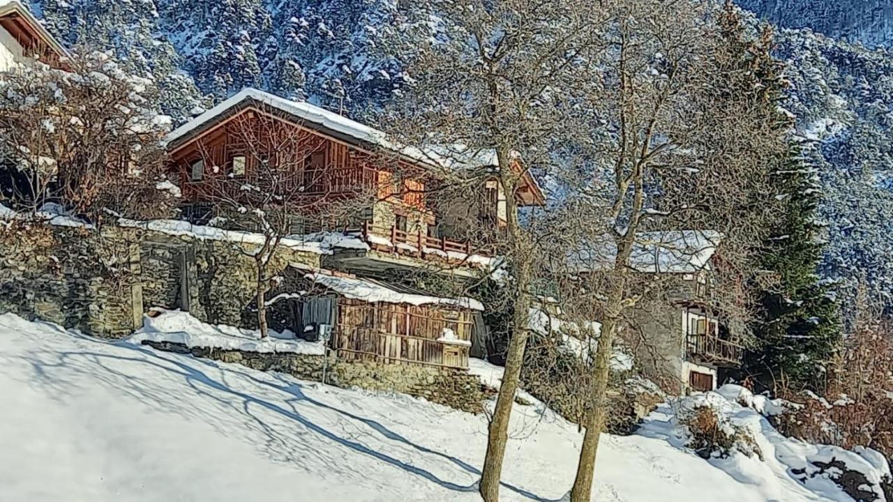Eco Chalet Maison Dominique Challand-Saint-Anselme Luaran gambar